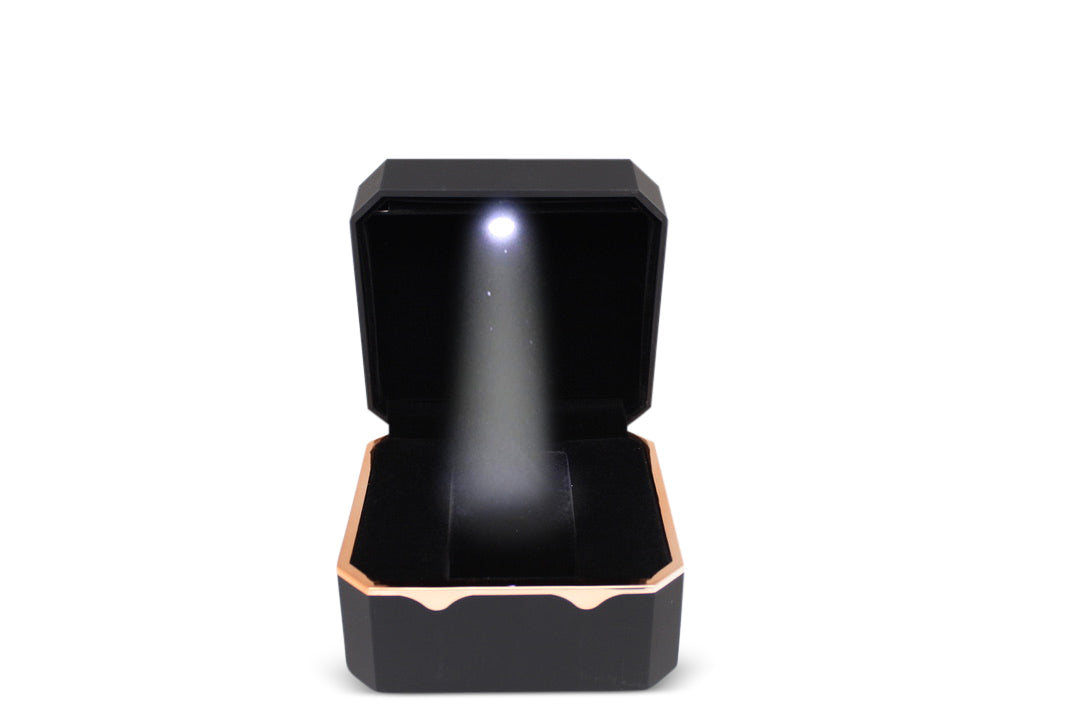 LED Watch Box w/ Rose Gold