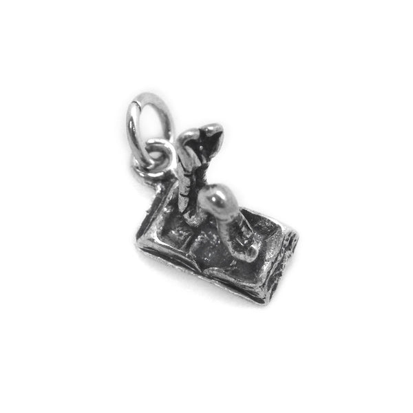 Book Worm Charm - Ali Wholesale Express