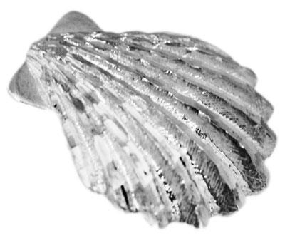 Sterling Silver CZ Sea Shell Slide Pendant - Atlanta Jewelers Supply